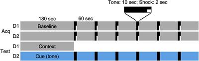 Reversible Suppression of Fear <mark class="highlighted">Memory Recall</mark> by Transient Circadian Arrhythmia